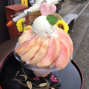 センジャパ犬山城下町支店からのお知らせ 水泳用品専門店 株式会社センゴクジャパン